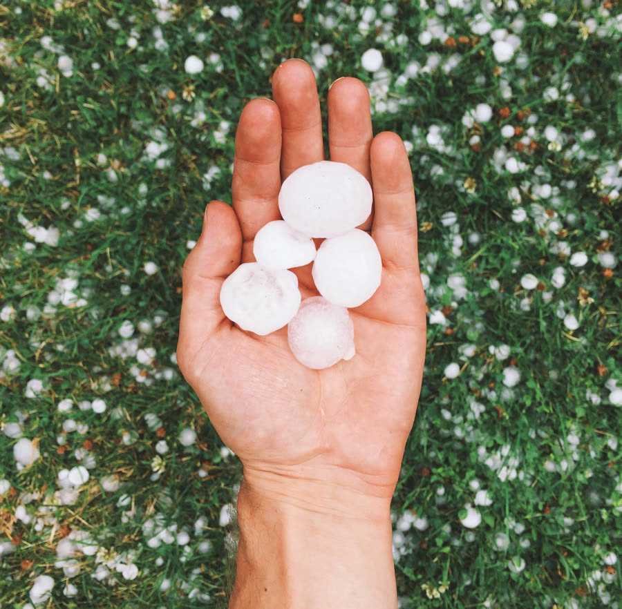Large hailstones held above a hail-covered lawn